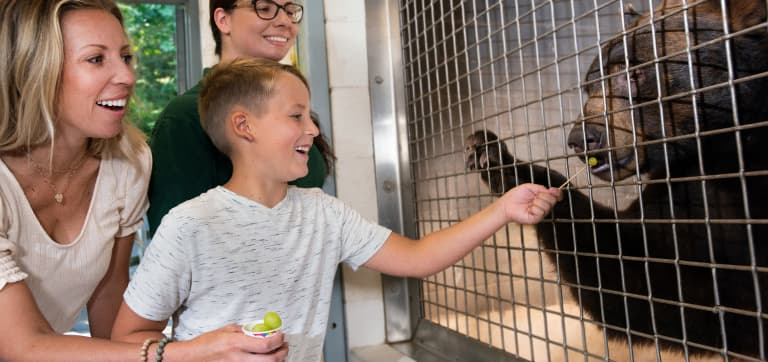 family interacting with bear at zooamerica