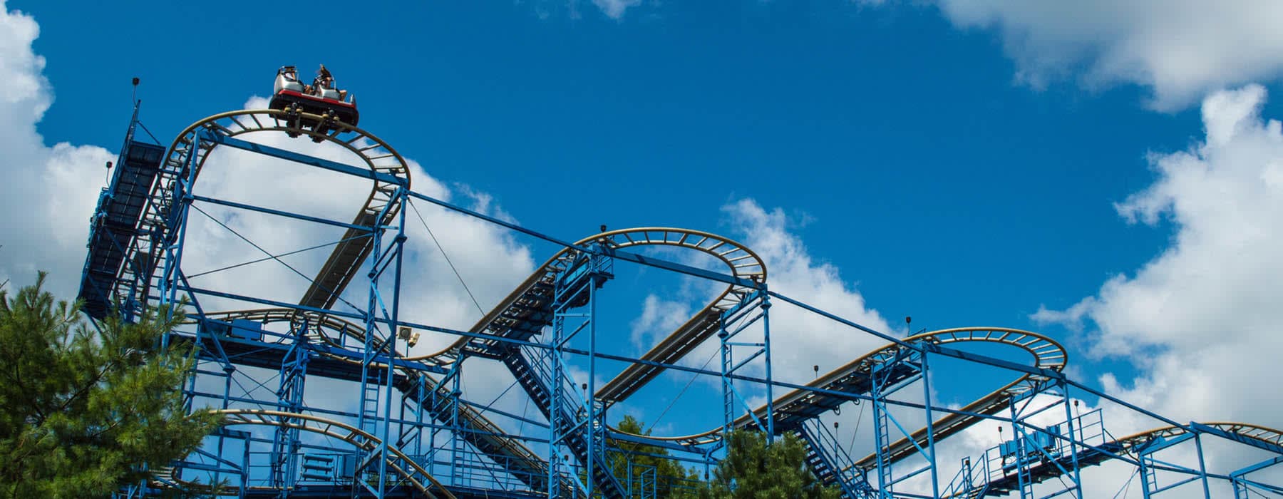 Wild Mouse Coaster