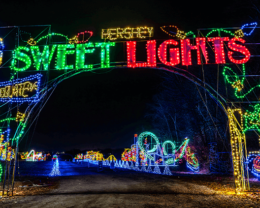 Sweet Lights entrance