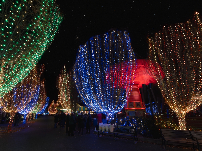 Christmas Candyland trees and lights