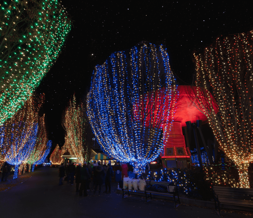 Avenue of The Afterlife at Hersheypark Dark Nights